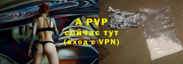 индика Михайлов
