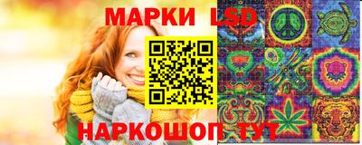 дмт Гай