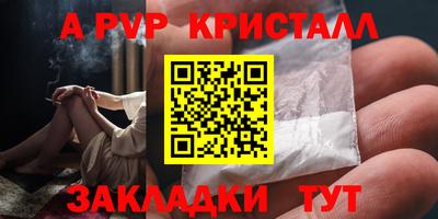 дмт Гай