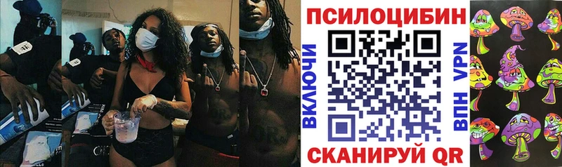 omg ССЫЛКА  Заводоуковск  Галлюциногенные грибы GOLDEN TEACHER 